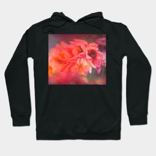 Ixia Dreaming Flowers Hoodie